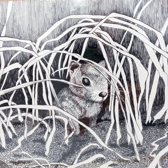 Chipmunk Wall Art Framed Groundhog Pen And Ink Drawing Signed 20 x 15 Cute Anima - Picture 7 of 10